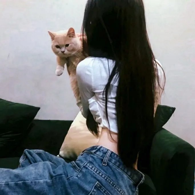 鉴识英雄